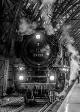 Indlæs billede til gallerivisning 01 202 på Dresden Hovedbanegård - sort/hvid