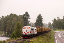 Indlæs billede til gallerivisning TÅGAB TMY med tømmervogne