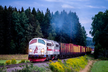 Indlæs billede til gallerivisning TÅGAB TMY med tomme tømmervogne