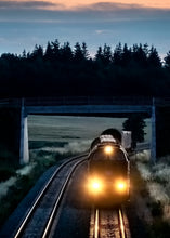 Indlæs billede til gallerivisning MZ 1456 i Randers