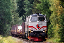 Indlæs billede til gallerivisning TÅGAB TMZ 108 syd for Filipstad