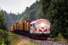 Indlæs billede til gallerivisning TÅGAB TMY med tømmervogne II