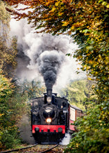 Indlæs billede til gallerivisning HV 3 ved Lundalen