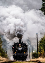 Indlæs billede til gallerivisning F 658 ved Vrads