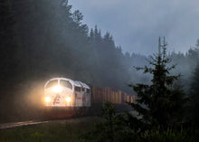 Indlæs billede til gallerivisning TÅGAB TMY i de svenske skove