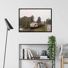 Indlæs billede til gallerivisning TÅGAB TMY med tømmervogne