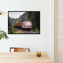 Indlæs billede til gallerivisning TÅGAB TMY med tømmervogne II