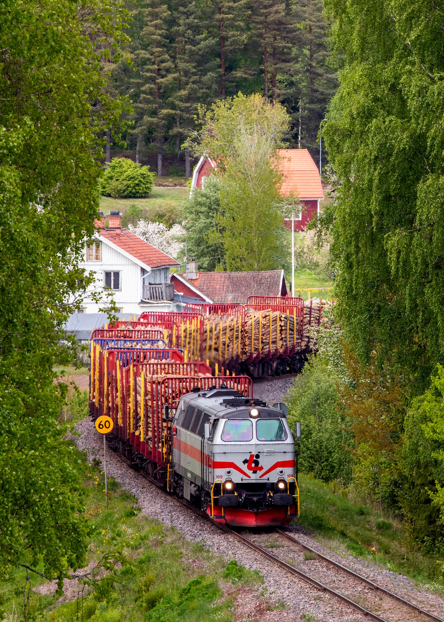 TÅGAB TMZ 109 med tømmervogne