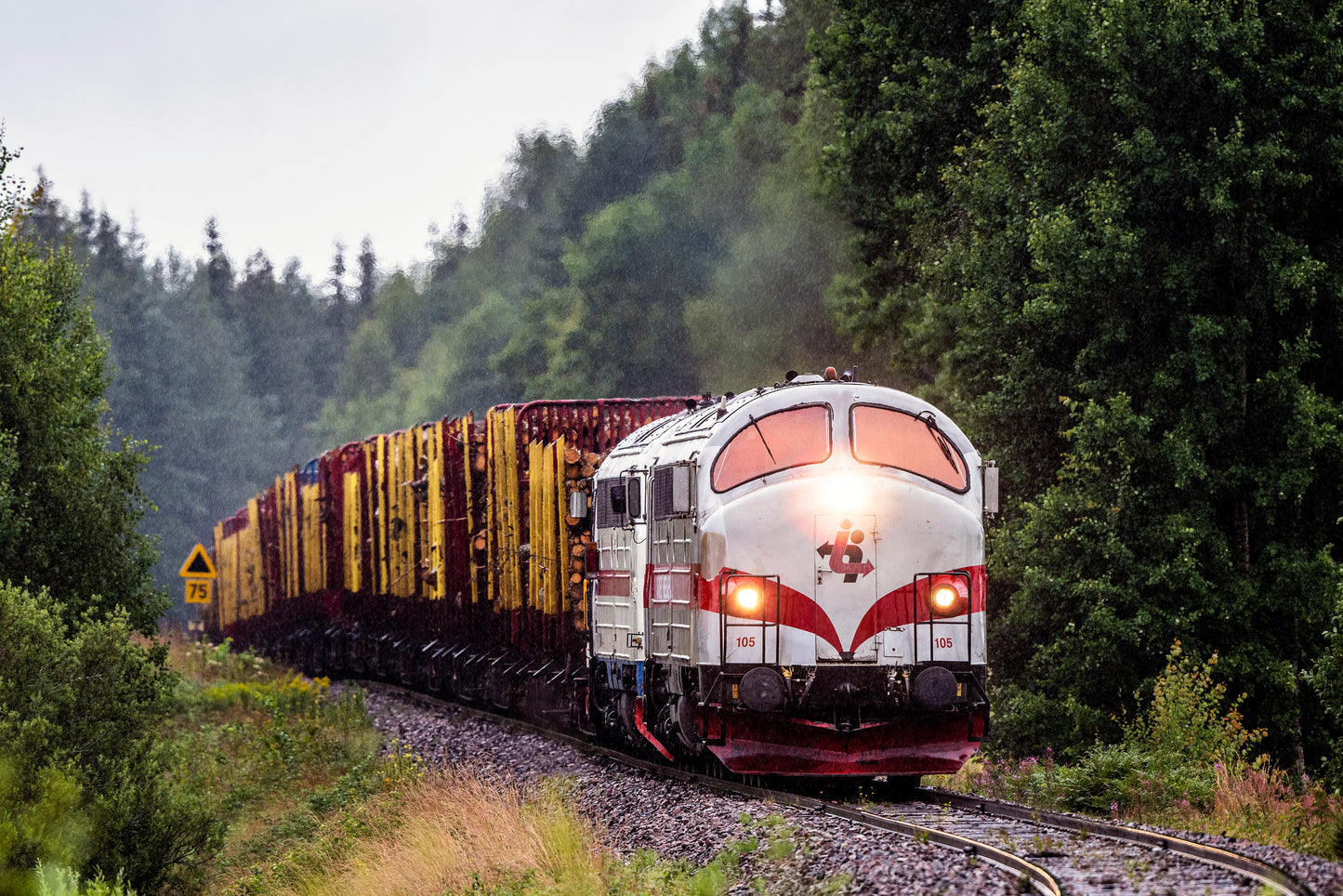 TÅGAB TMY med tømmervogne II