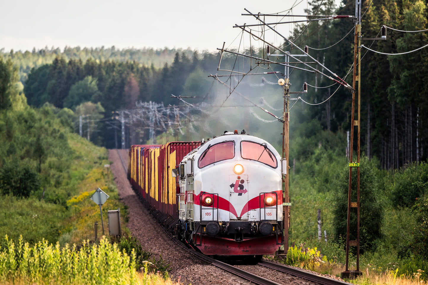 TÅGAB TMY med tomme tømmervogne II