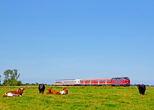 DB 200 007 mellem Dagebüll og Niebüll