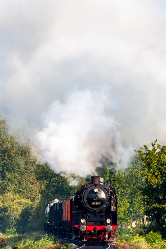 BR 50 307 i Holland