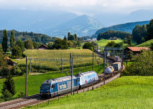 BLS Re 465 ved Spiez
